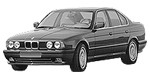 BMW E34 P1134 Fault Code