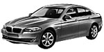 BMW F10 P1134 Fault Code